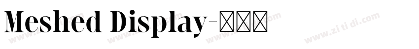 Meshed Display字体转换